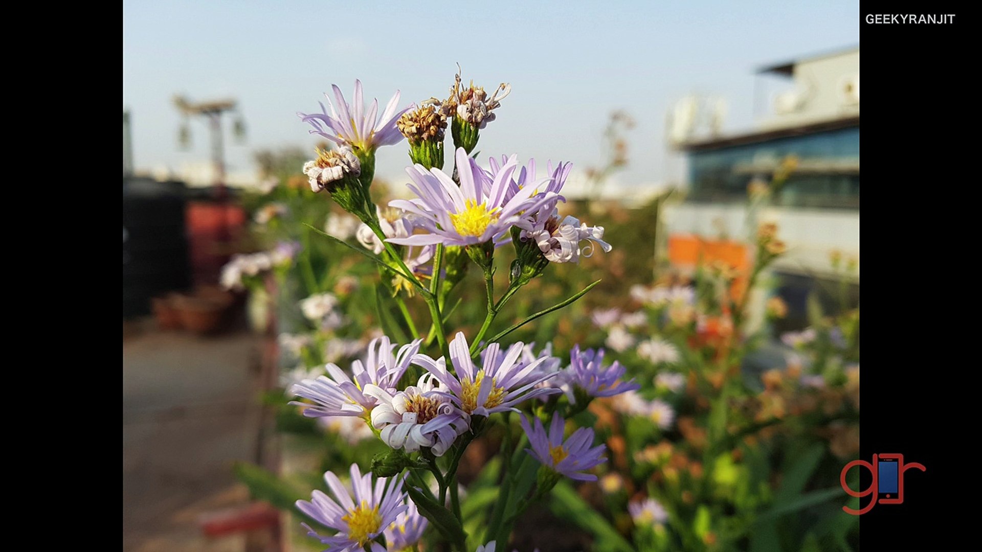 Samsung Galaxy S7 Edge Camera Review Best Camera Smartphone-