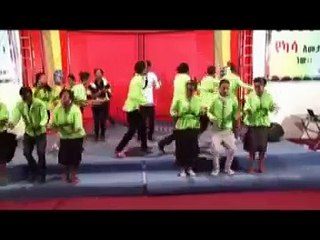 Andinet Lemma New VCD Mezmur 2014- Ayehu Ayehu