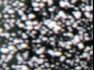 Treemouth - Realize (LA CIGALE)