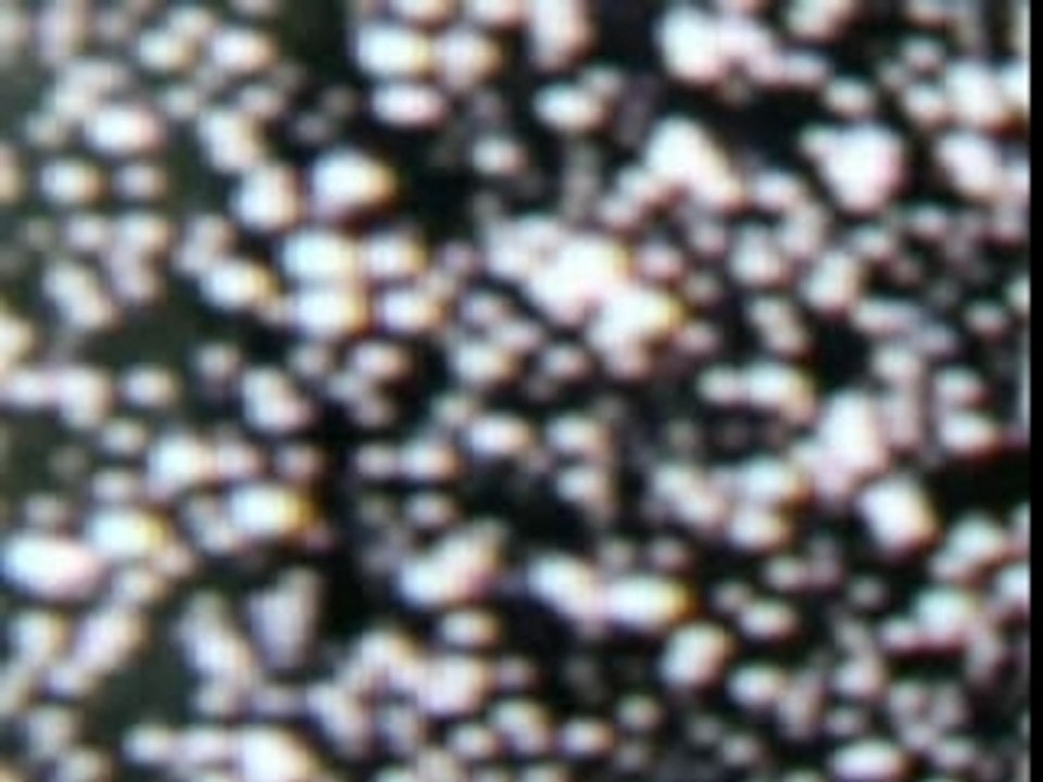 Treemouth - Realize (LA CIGALE)