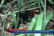 190 Urgente - Mulher assassinada com tiro no rosto no Setor Bougainville em Anápolis-GO