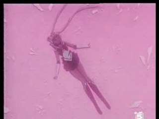 Sailor Moon La Luna Splende