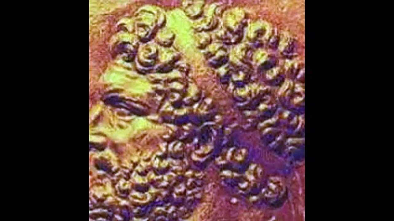 Filipo II y Alejandro Magno. El imperio de macedonia. Siglo IV A.C