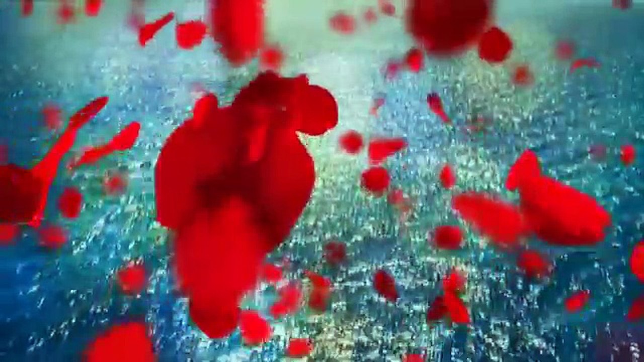 2014 KUTLU DOĞUM SİNEVİZYON