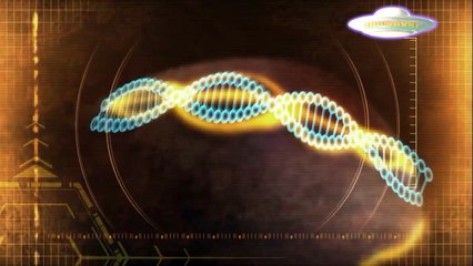 Sur la piste des aliens - Le code extraterrestres