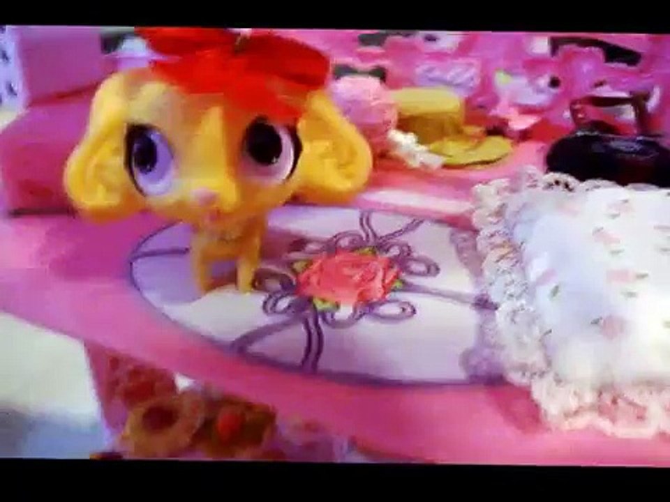 Lilan petsit