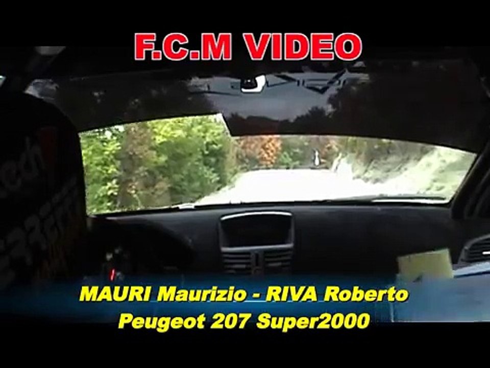 CameraCar Rally Team 971 2010 Mauri-Riva Peugeot 207 S2000