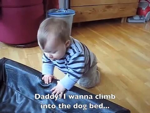 Le bébé tente de faire dodo dans le lit du chien, mais regardez bien la réaction du toutou!