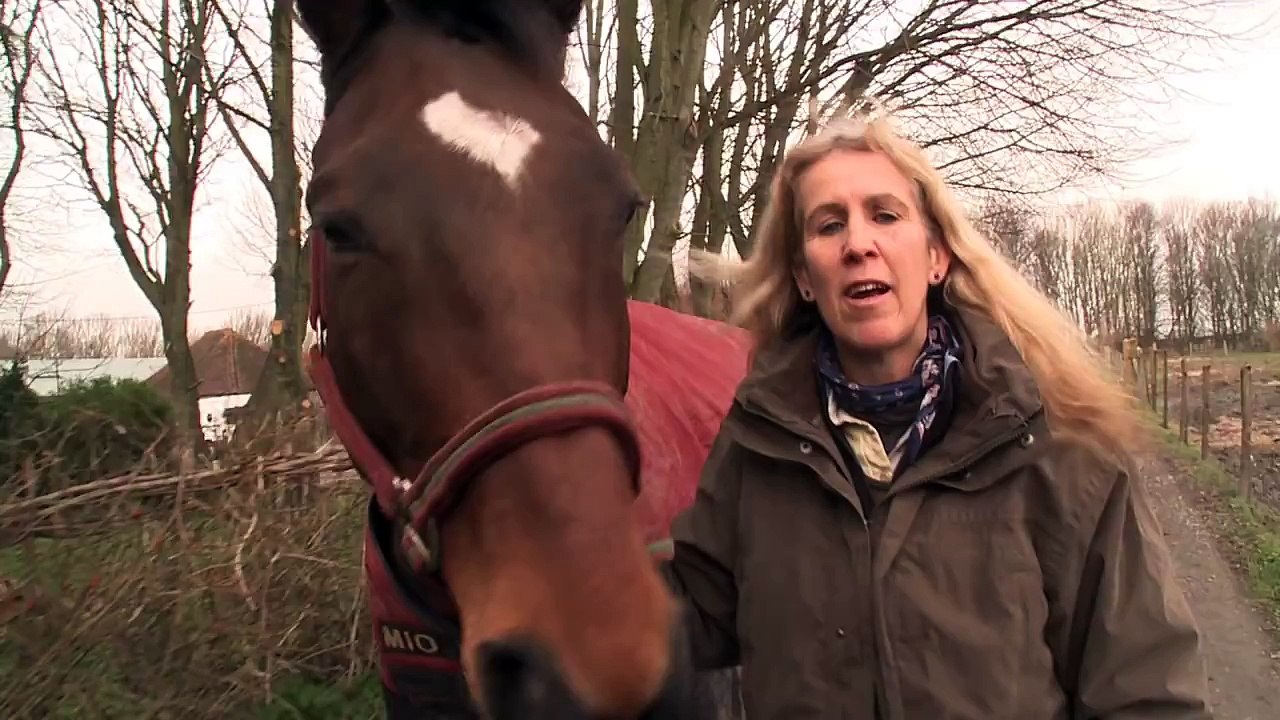 Ils ne se sont pas vus pendant 4 ans, mais ils sont toujours les meilleurs amis du monde. Très touchant!