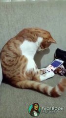 Mart ayından umduğunu bulamayınca dertlenmiş