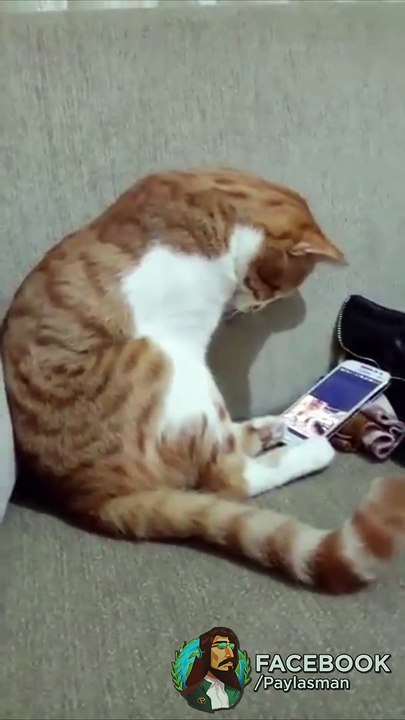 Mart ayından umduğunu bulamayınca dertlenmiş