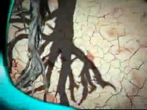 2010 KUTLU DOĞUM SİNEVİZYON