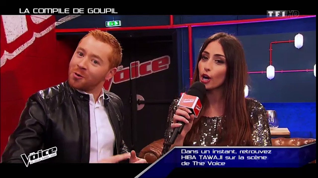 Hiba Tawaji La compil de Goupil