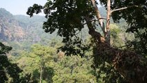Ziplining in the Bolaven Plateau, Southern Laos
