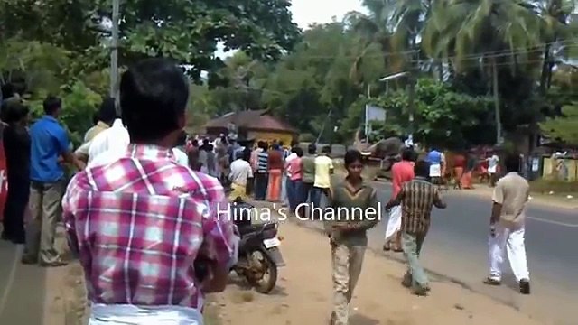 KILLER ELEPHANT ATTACK IN KERALA INDIA || ANIMAL ATTACKS
