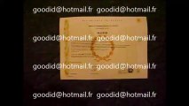 FAUX PAPIER  DIPLOME DE LICENCE