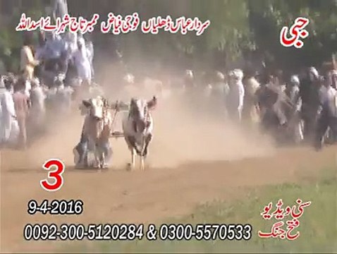 T.A.M.A.S.H.A تیسرا نمبر جبی