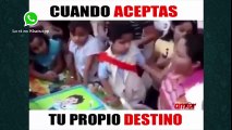Compilado Videos de WhatsApp [1]