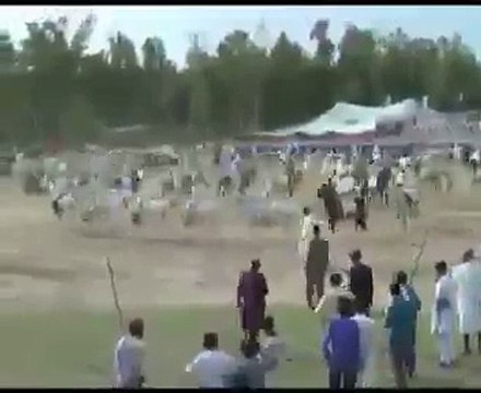 M.H Sultania Awan Horse Neza Baaz Club