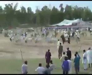 M.H Sultania Awan Horse Neza Baaz Club