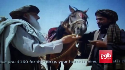 Afghan Film Wins Major Prize At China’s Short Film Festival