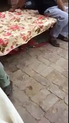 Funny Clip....BILAWAL ALI JUTT