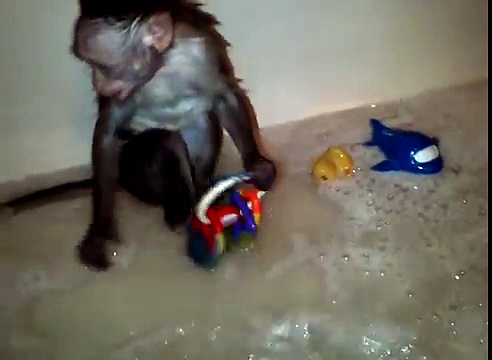 Destiny Having A Large Time In The Tub