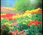 Afghan music song -Naghma- nice song - Downloaded from youpak.com