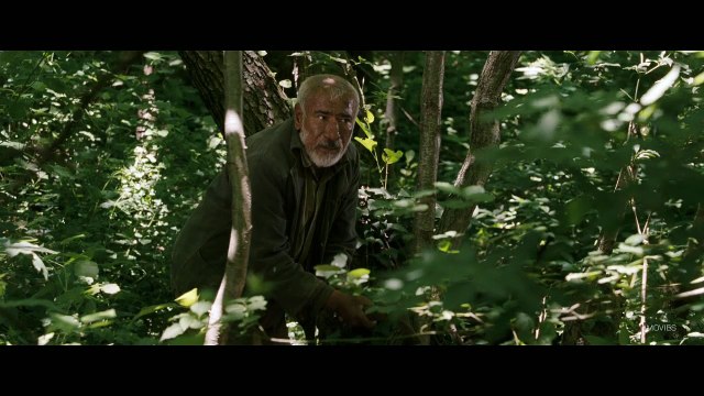 Кукурузный остров (драма, военный)