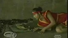 Friendly crocodiles