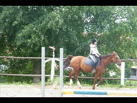 CENTRE EQUESTRE SEEBACH COURS GALOPS 4 et 5 du 24 JUIN 2009