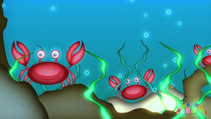 ANIMALS IN THE OCEAN - Nursery Rhymes TV. Toddler Kindergarten Preschool Baby Songs