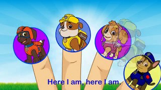 Paw Patrol Finger Family Song - Nursery Rhymes For Kids