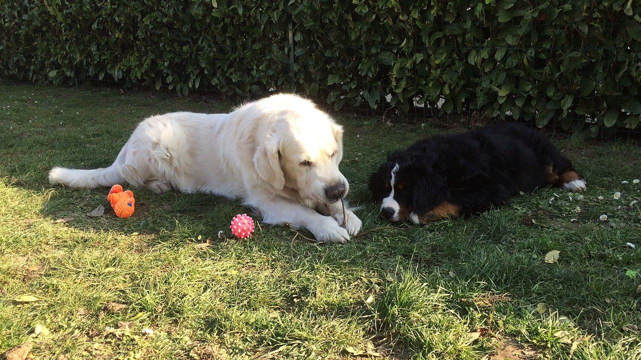Benji avec Max