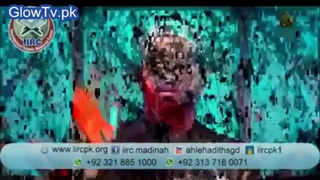 Which Firqa Should I Choose Sunni or Shia Dr. Zakir Naik Gave Super Reply Peace Tv Urdu