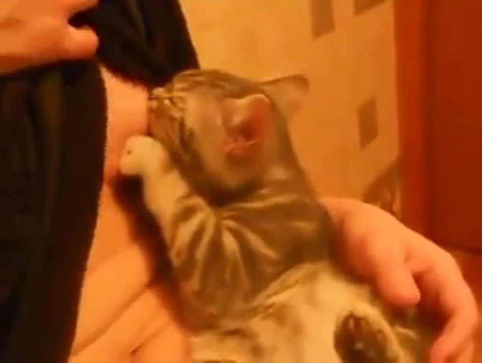A girl breastfeeding a cat