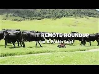 ലവ് ജിഹാദും ലീഗും