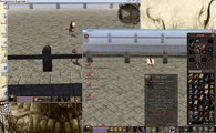 metin2 pvp