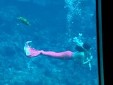 Weeki Wachee Mermaid Show