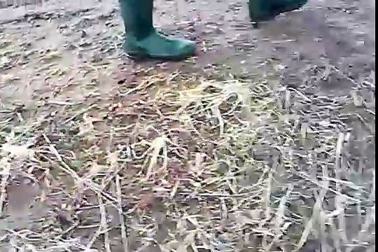 My SV. Pass by a flooded ditch & muddy soil in my Le Chameau delta nord hip-waders