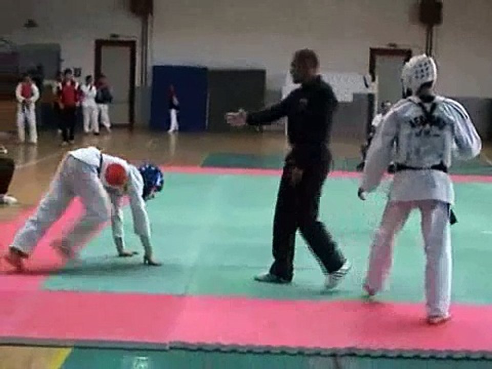 Taekwondo