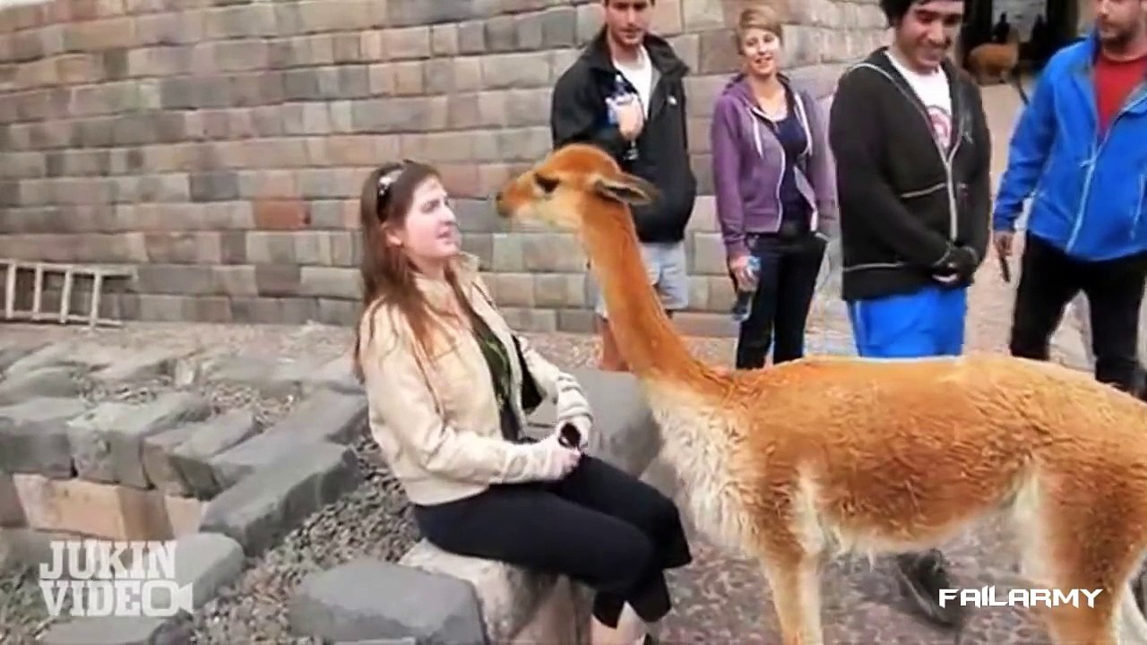 Fail Compilation of the Month September 2012    FailArmy