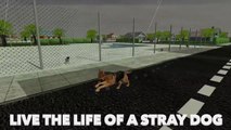 Stray Dog Simulator: Game Trailer for iOS and Android