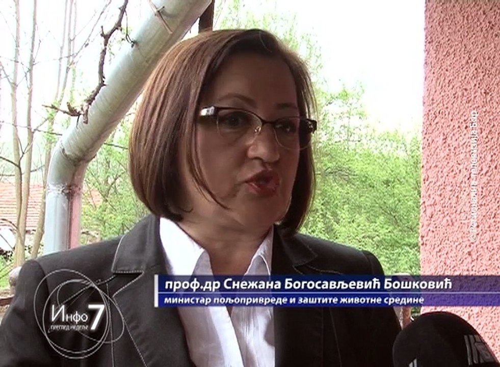 Info 7, 10. april 2016. (RTV Bor)