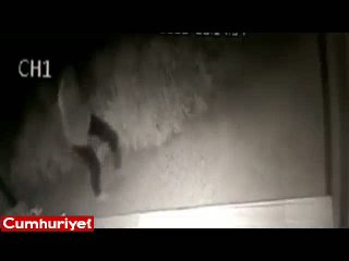 6 yaşındaki çocuğun hunharca öldürüldüğü vahşetin görüntüleri ortaya çıktı