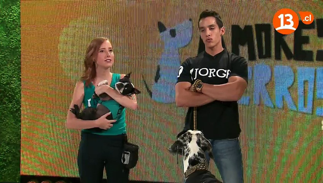 amoresperros5_cut_part1