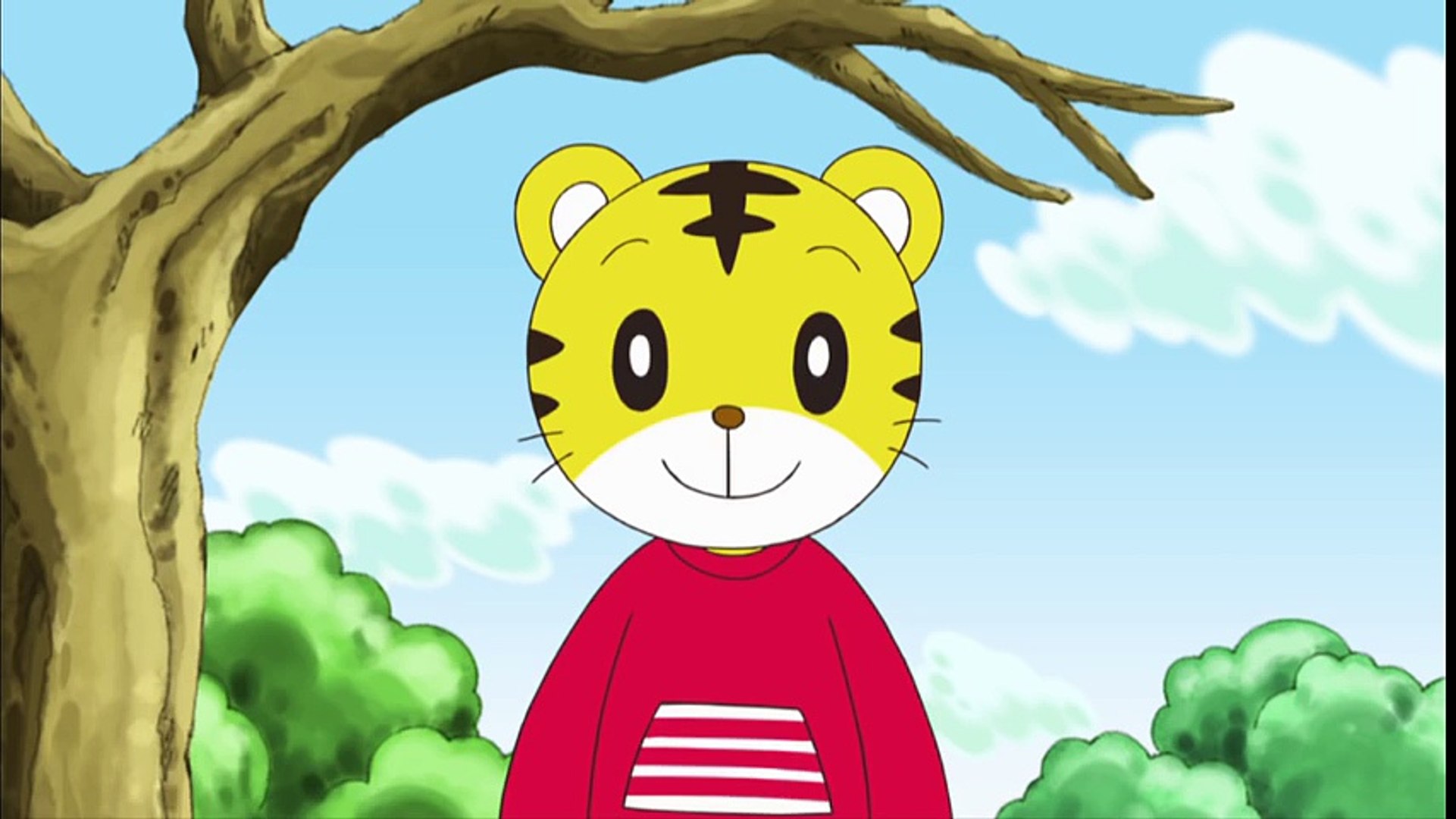 しまじろう　チャレンジ　英語　DVD しまじろう 英会話 こどもチャレンジ しまじろう 英語DVD他 13枚