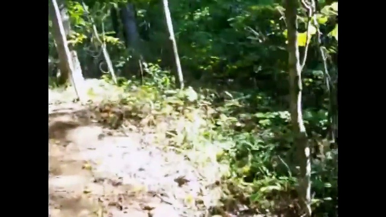 The Chronicles of Chris-chan  Chris goes Outdoors [10 9 2010]