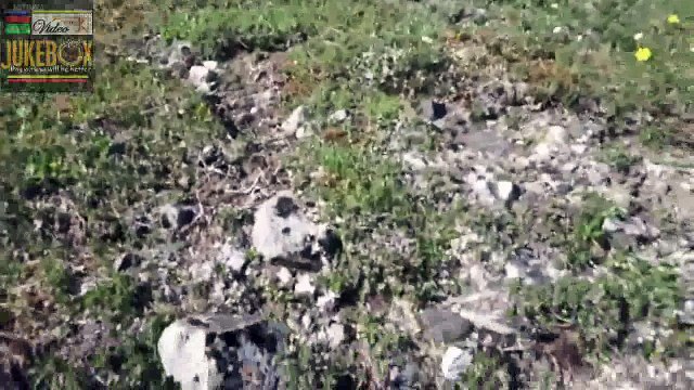 Bear attack mountaineers !