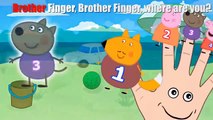 Peppa Pig 12345 Finger Family Nursery Rhymes  \ Baby Doll Finger Family TV Lyrics